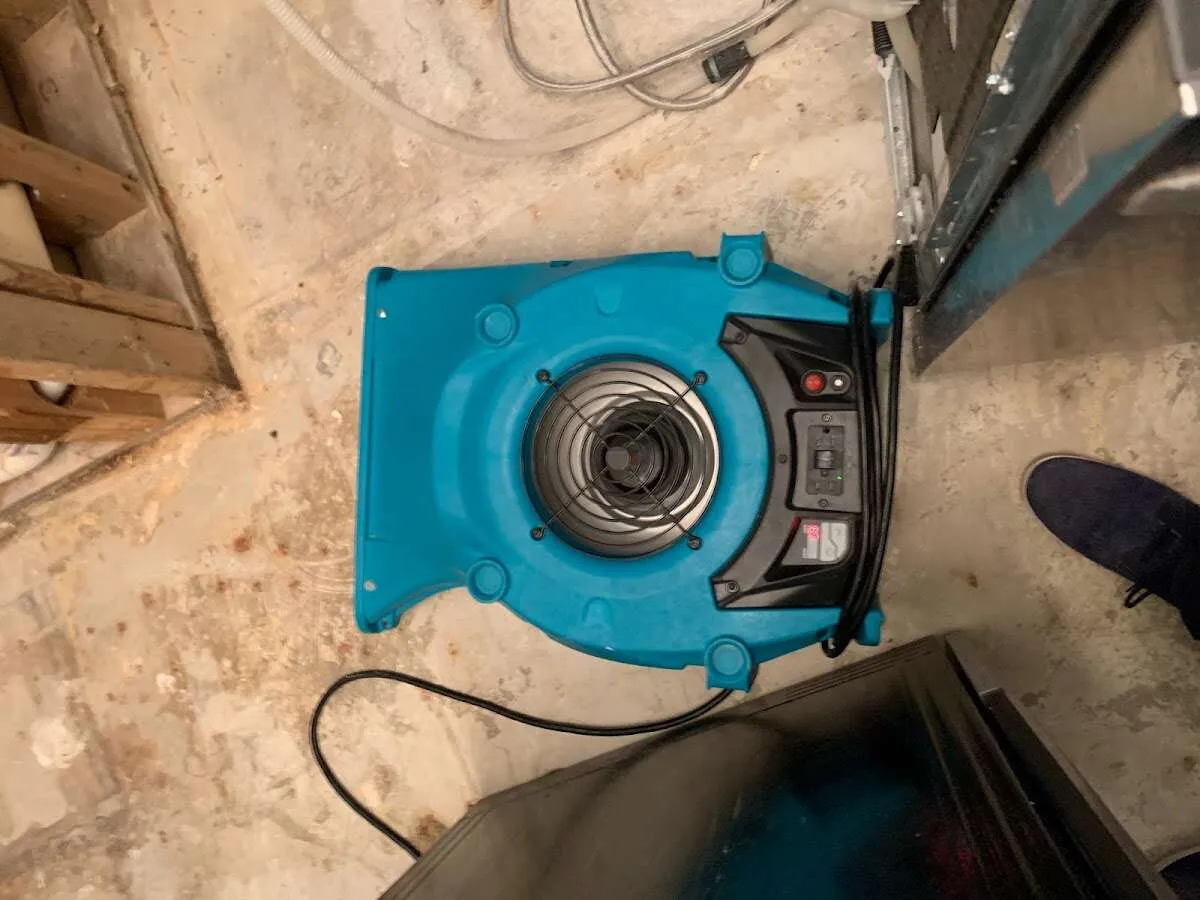 Air mover drying equipment for Mold Remediation & Removal in Greenburgh